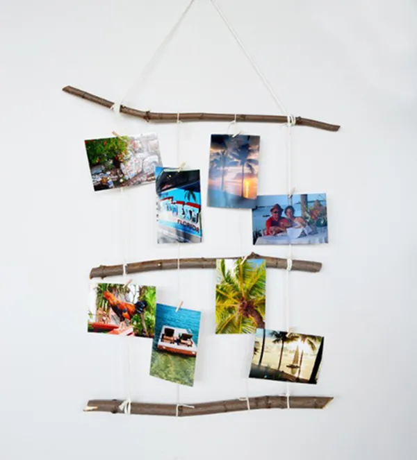 Afișaj foto cu elemente naturale